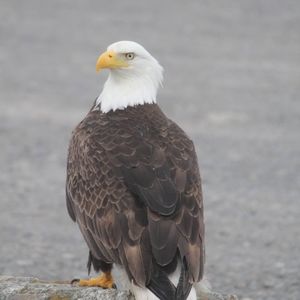 Meet your Posher, Jim